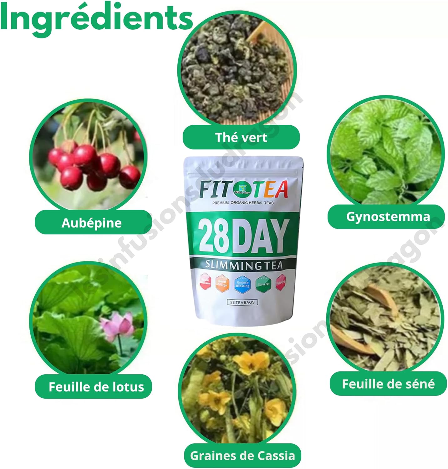 FIT TEA 28 DAY DETOX